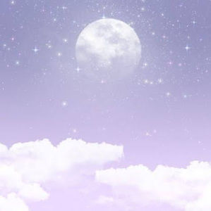 Meet your Posher, Ryn